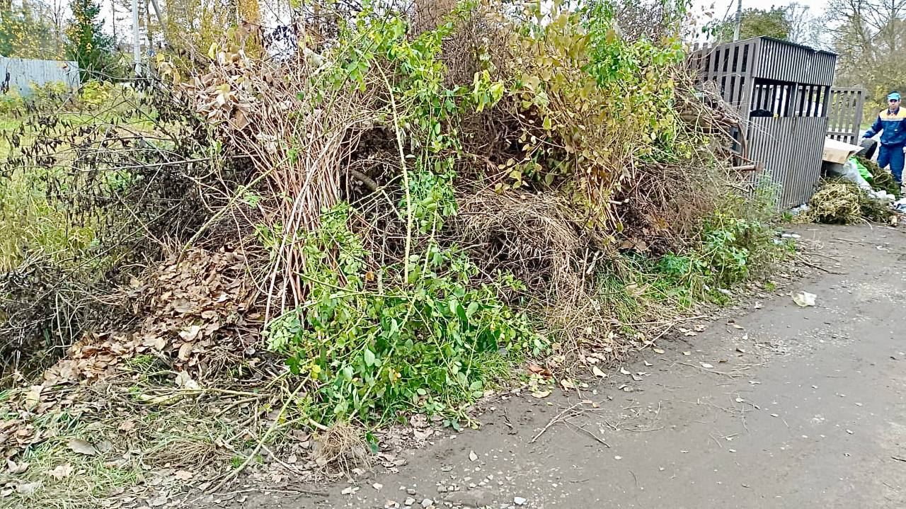 Дмитрий Рудаков: В рамках осенних субботников приведем в порядок территории у 108 контентных площадок