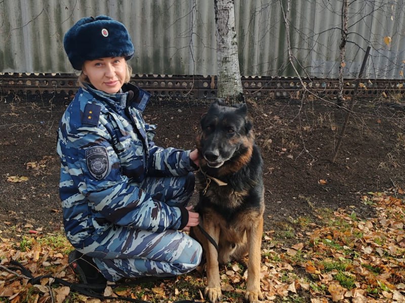 Зорро раскрыл кражу тысячи рублей и продуктов в Приморье