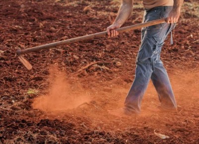 Как выбрать идеальную почву для вашего сада: шесть ключевых типов