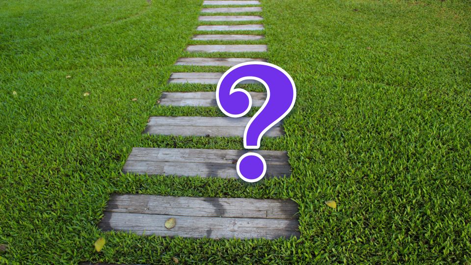 Трава исчезнет навсегда: только так вы избавитесь от заросших дорожек на даче