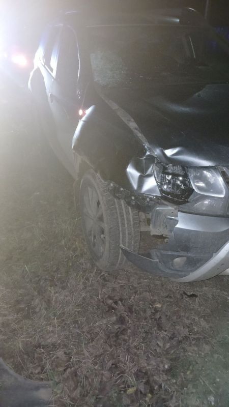 Прокуратура Борисоглебского района поставила на контроль ход и результаты процессуальной проверки по факту ДТП, в котором погиб пешеход Прокуратура Борисоглебского района поставила на контроль ход и результаты процессуальной проверки по факту ДТП, в котором погиб пешеход