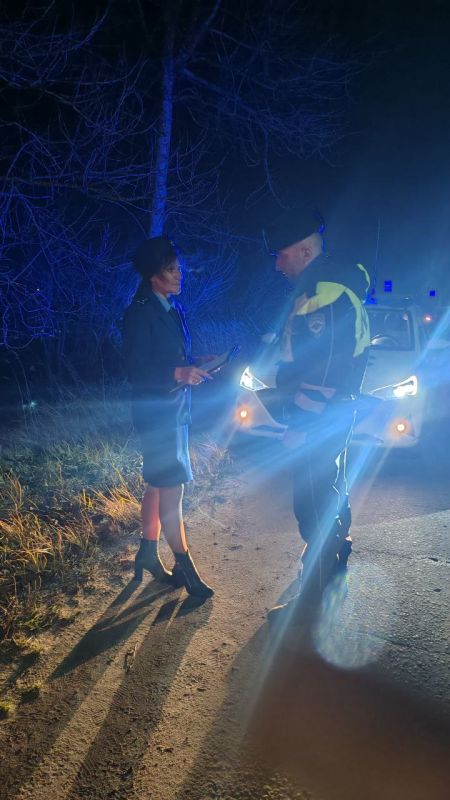 Прокуратура Борисоглебского района поставила на контроль ход и результаты процессуальной проверки по факту ДТП, в котором погиб пешеход Прокуратура Борисоглебского района поставила на контроль ход и результаты процессуальной проверки по факту ДТП, в котором погиб пешеход