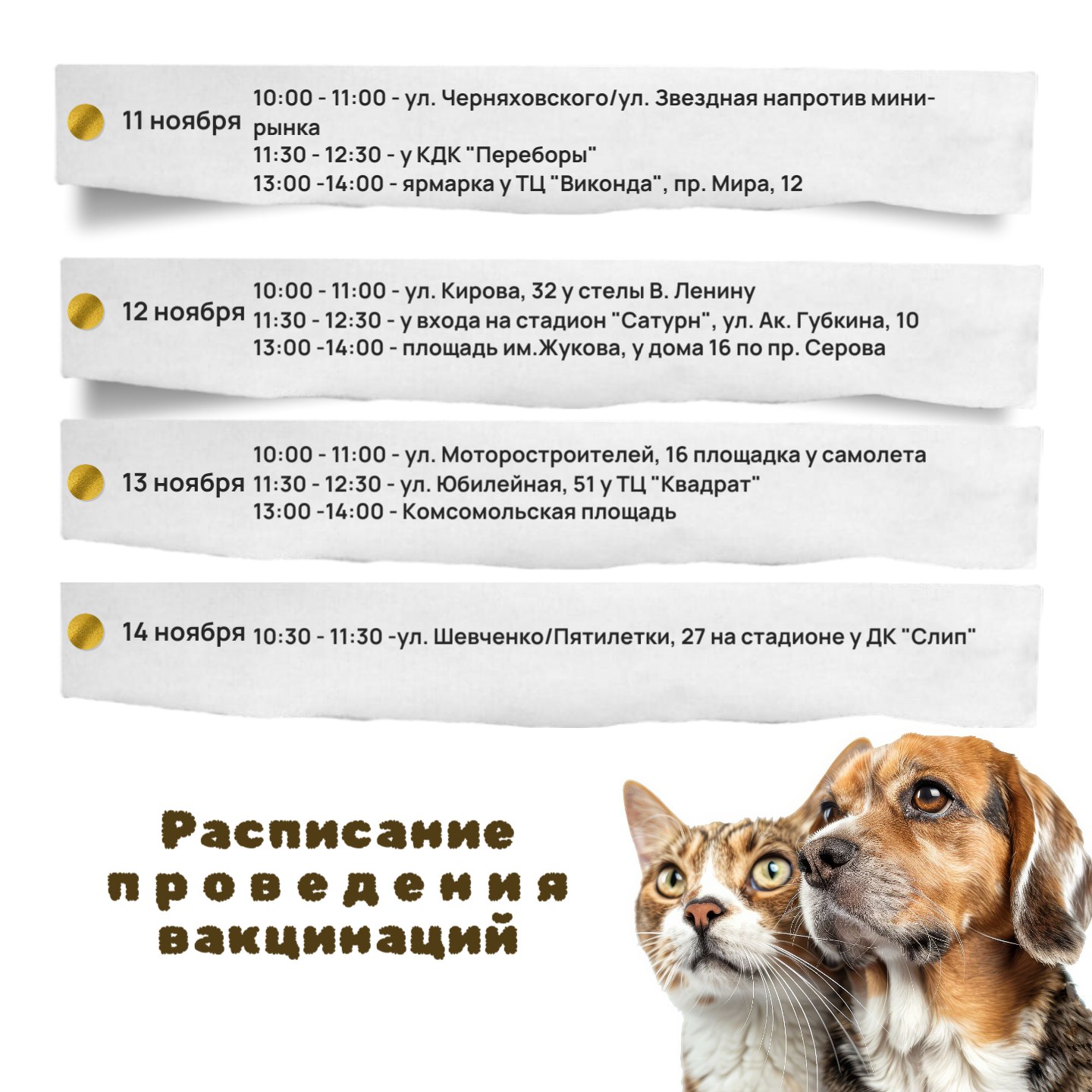 Рыбинская ветстанция проведет выездную вакцинацию домашних животных