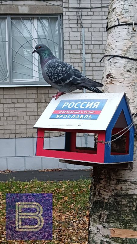 Доброе утро, Ярославль!. Сегодня нас ждёт день с переменной облачностью, +4…+6 °С и слабым ветром