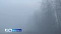 Видимость – «нулевая».. Вот такие кадры в редакцию «Вестей» присылают ярославские водители