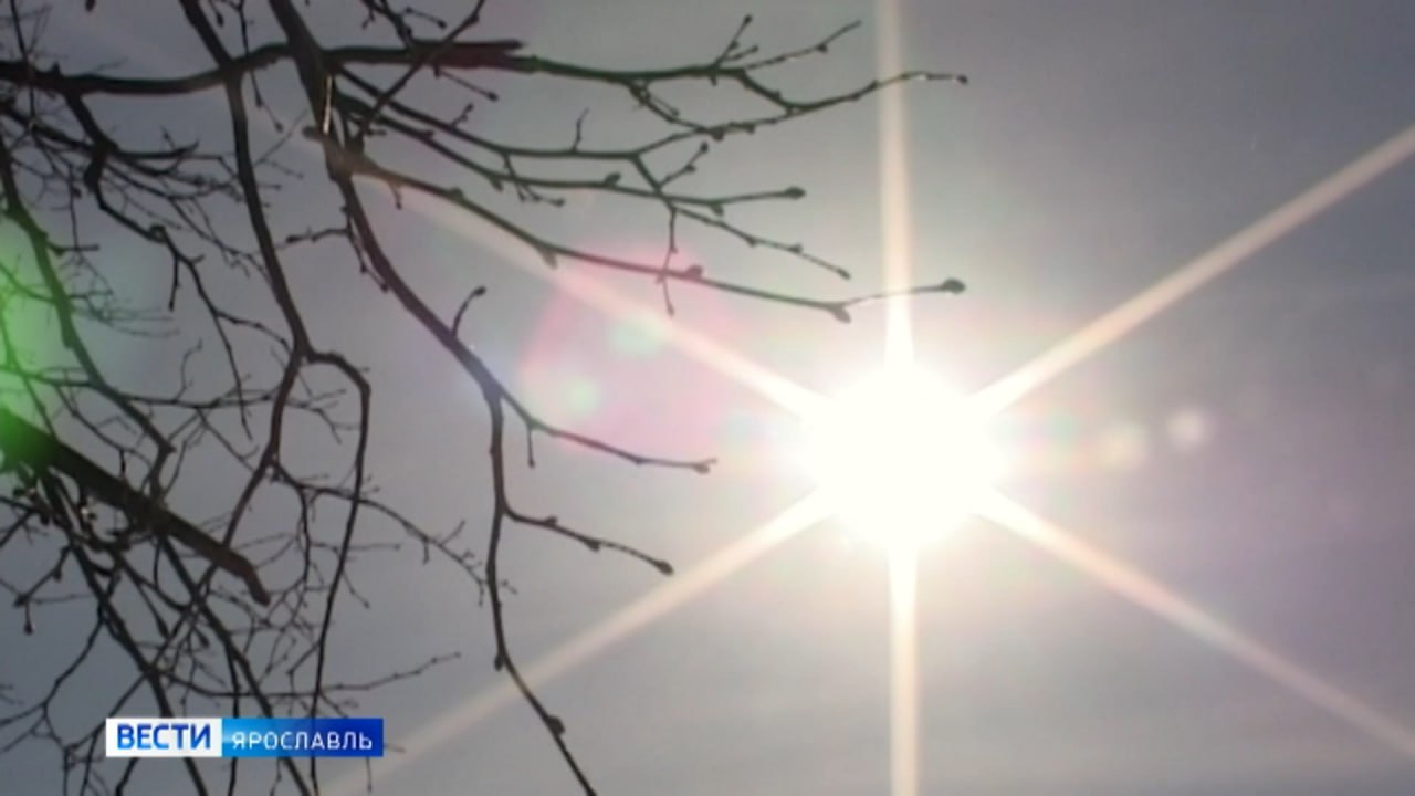 Доброе утро, ярославцы!. И оно в действительности должно быть таким, ведь 13 ноября отмечается Всемирный день доброты Пусть этот четверг будет наполнен маленькими радостями: улыбайтесь прохожим, говорите приятные слова...