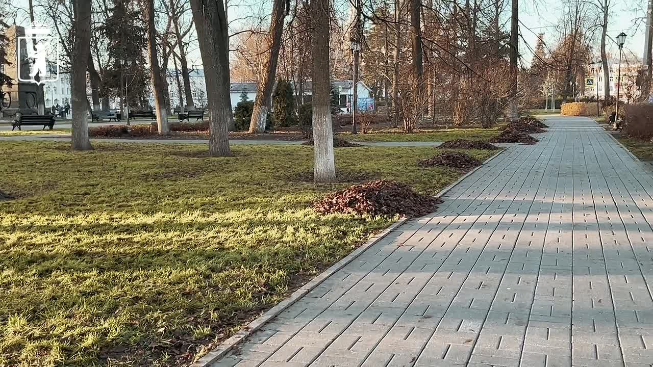 Парки и улицы Ярославля убирают от опавшей листвы