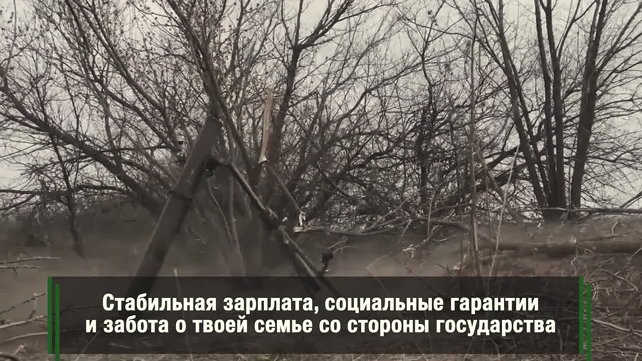 За службой стоит большая господдержка