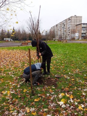 Дмитрий Рудаков: На этой неделе МБУ ДЭС обновили посадки в парке Фейгина