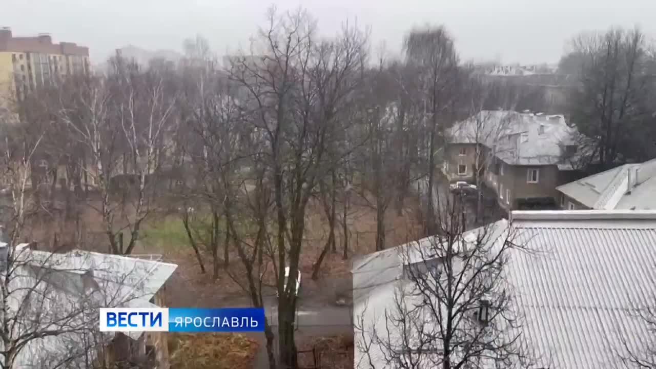 В Ярославской области выпал первый снег