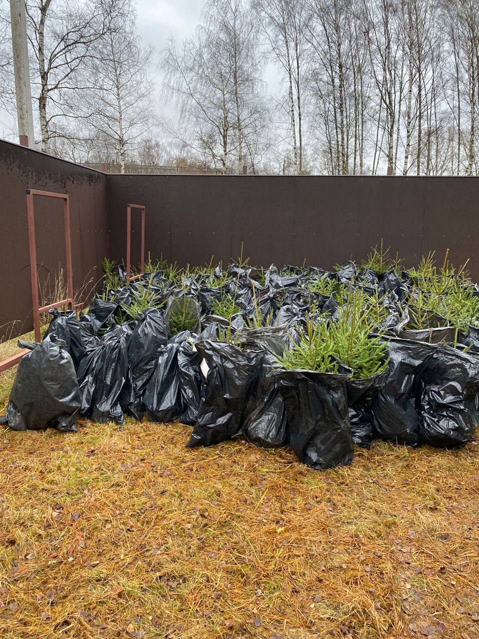 Дмитрий Рудаков: Завод «Энмаш» продолжает озеленять парк на проспекте генерала Батова Дмитрий Рудаков: Завод «Энмаш» продолжает озеленять парк на проспекте генерала Батова