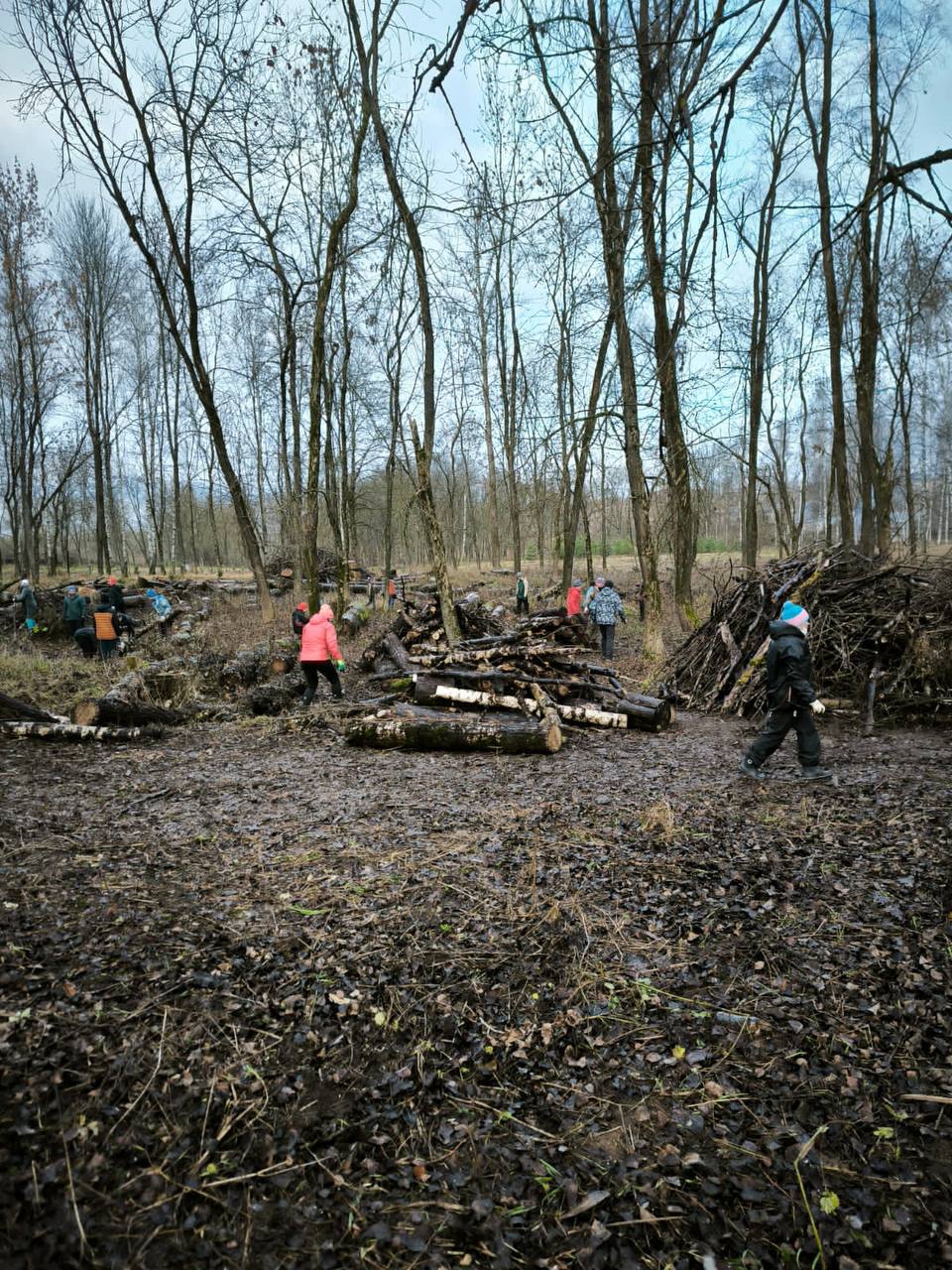 Дмитрий Рудаков: Завод «Энмаш» продолжает озеленять парк на проспекте генерала Батова Дмитрий Рудаков: Завод «Энмаш» продолжает озеленять парк на проспекте генерала Батова