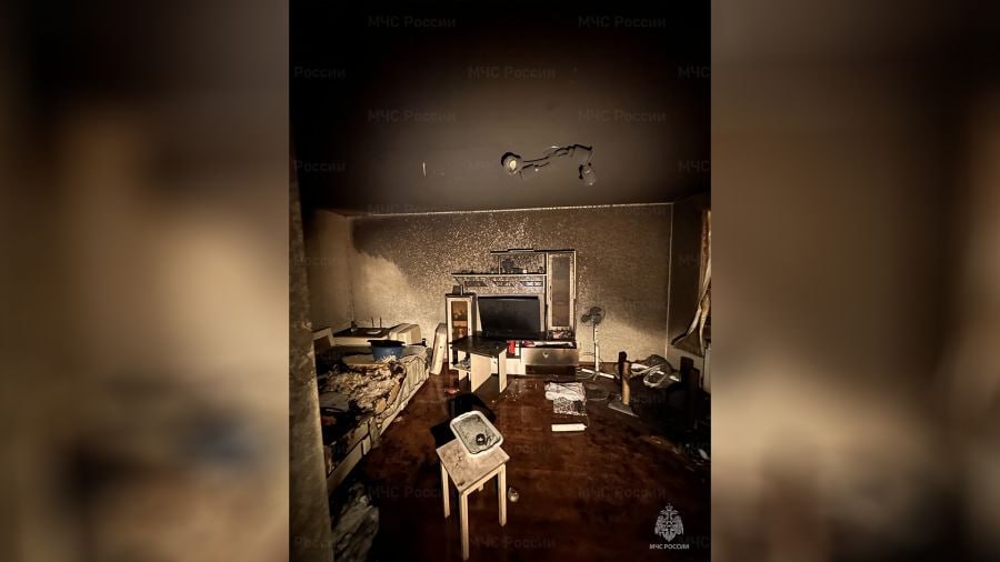 В Ярославле сотрудники МЧС России спасли из пожара кота и его хозяина