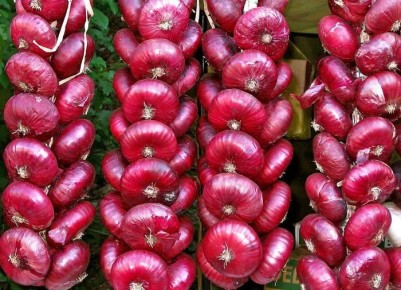 Секреты долговременного хранения лука: плетение кос — стильно и практично