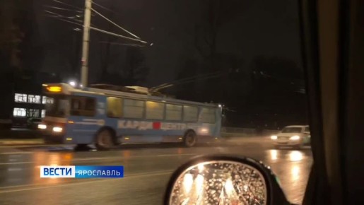 На Тутаевском шоссе в Ярославле дерево упало на контактную сеть троллейбуса