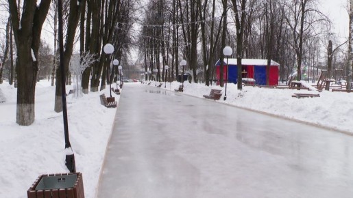 Что появится в городских парках Ярославля к Новому году ?