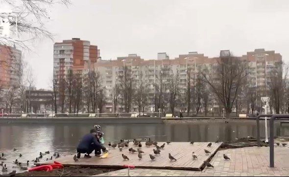 В Ярославле подвели итоги работы городских парков за летний период