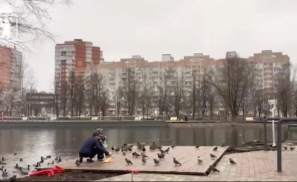 В Ярославле подвели итоги работы городских парков за летний период