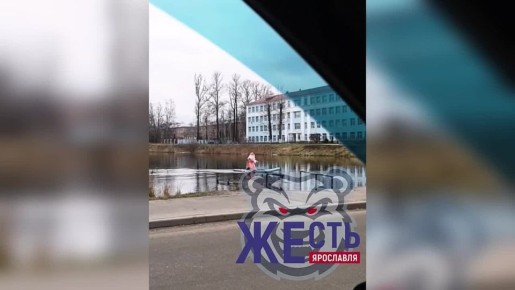 Дед - Мазай или Мороз? Вот в чем вопрос