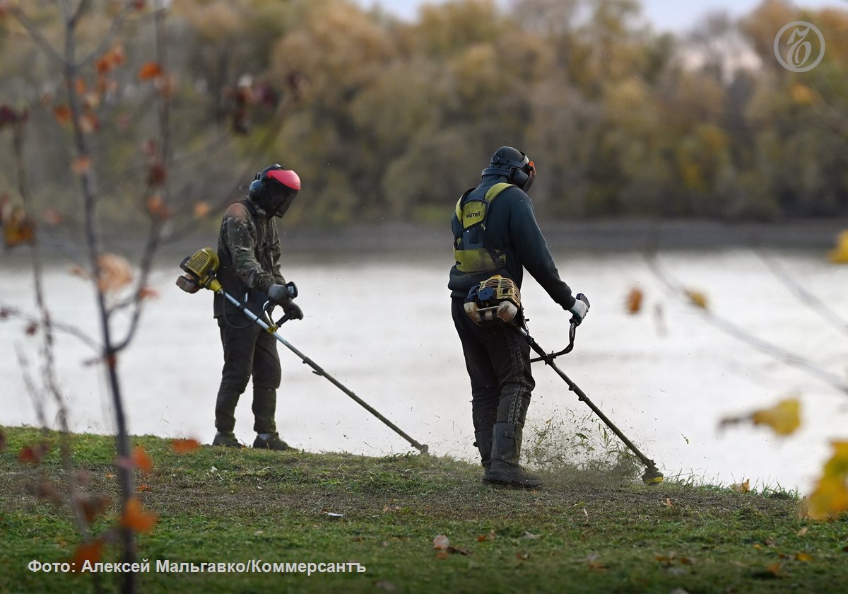 Продавец садовой техники Champion арендовал 16,5 тыс