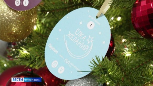 В Ярославской области стартует акция «Ёлка желаний»
