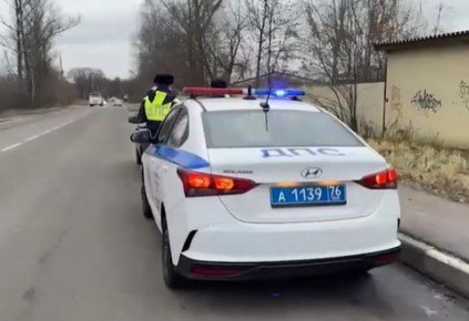 С начала года в Ярославской области произошло 255 ДТП с участием пешеходов