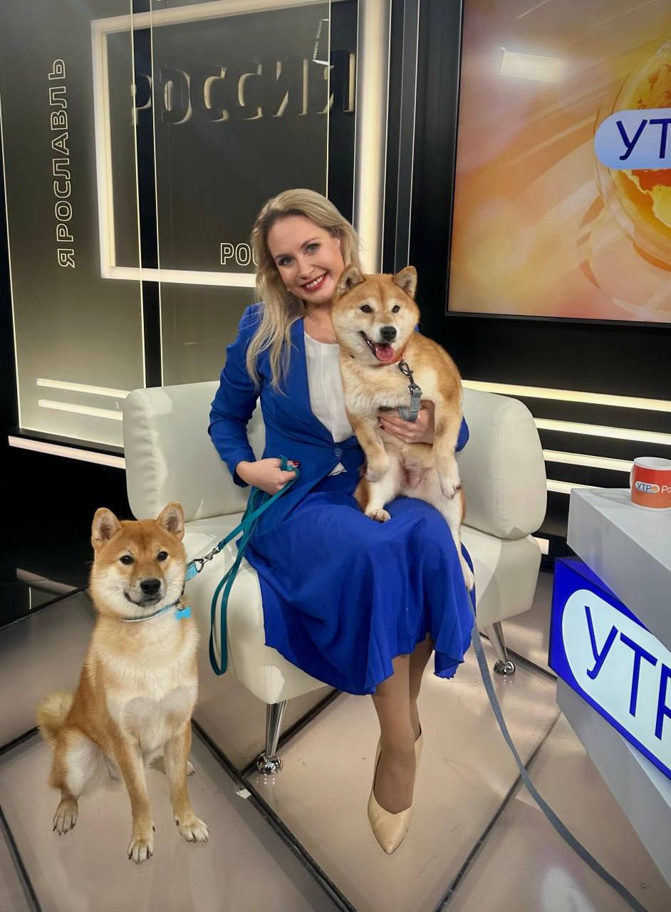 Камера, мотор, начали!. Сегодня, 21 ноября, — Всемирный день телевидения! Годом основания ярославского ТВ считается 1957 год Камера, мотор, начали!. Сегодня, 21 ноября, — Всемирный день телевидения! Годом основания ярославского ТВ считается 1957 год