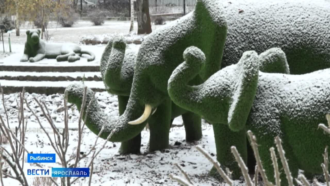 Карякинский сад в Рыбинске готовится к зимнему сну