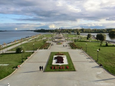 В Ярославской области за прошедшие сутки 22 ноября: