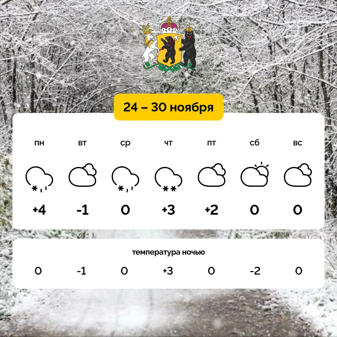 На этой неделе еще выпадет снег