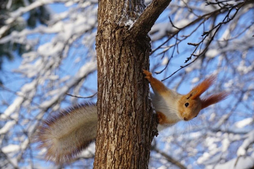 #ГородскойТелеканал желает доброго утра среды, 26 ноября