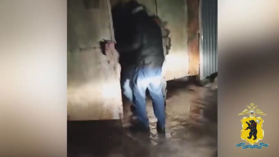 В Ярославской области завершено расследование уголовного дела в отношении 11 участников организованной группы, похищавших молочную продукцию из автоцистерн