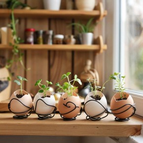 Как превратить яичную скорлупу в уютный мини-огород на подоконнике