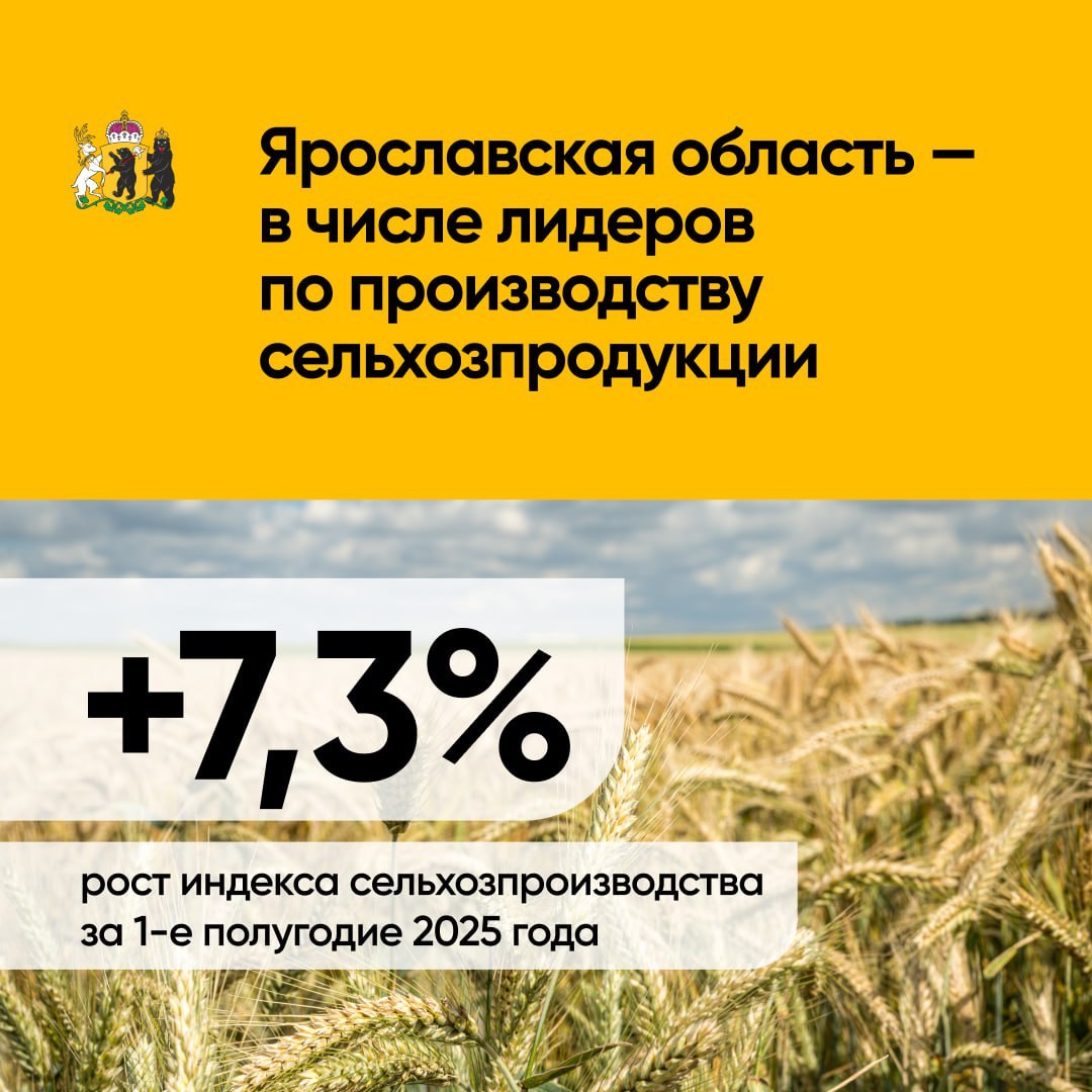 Наш агропромышленный комплекс бьет рекорды! По данным авторитетного рейтингового агентства «Эксперт РА», мы вошли в ТОП-5 регионов страны по приросту производства сельхозпродукции
