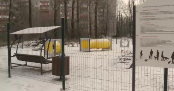 Площадки для выгула собак открываются в Ярославле