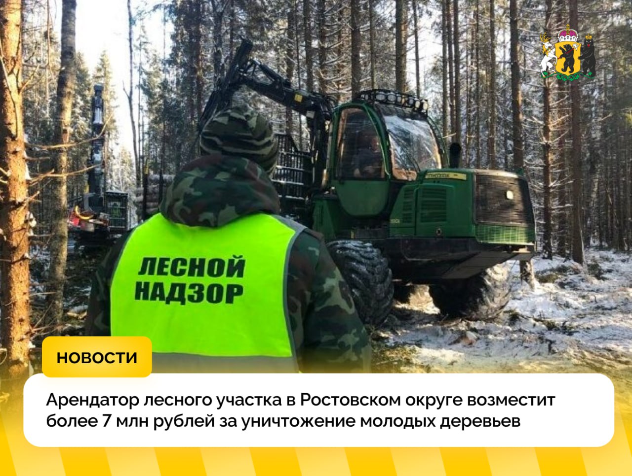 С недобросовестного арендатора лесного участка в Ростовском округе взыскано свыше 7 миллионов рублей