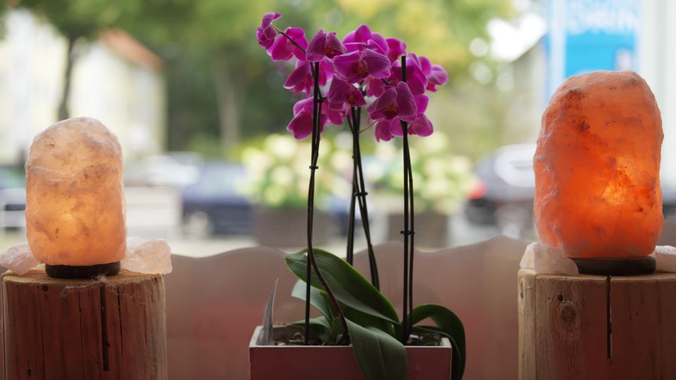 Опытные садоводы никогда не покупают орхидеи в этих местах: только деньги на ветер