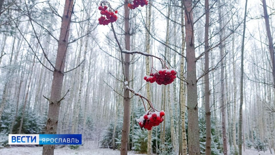 Пятница, Ярославль!. Рабочая неделя подошла к концу, а впереди долгожданные выходные дни