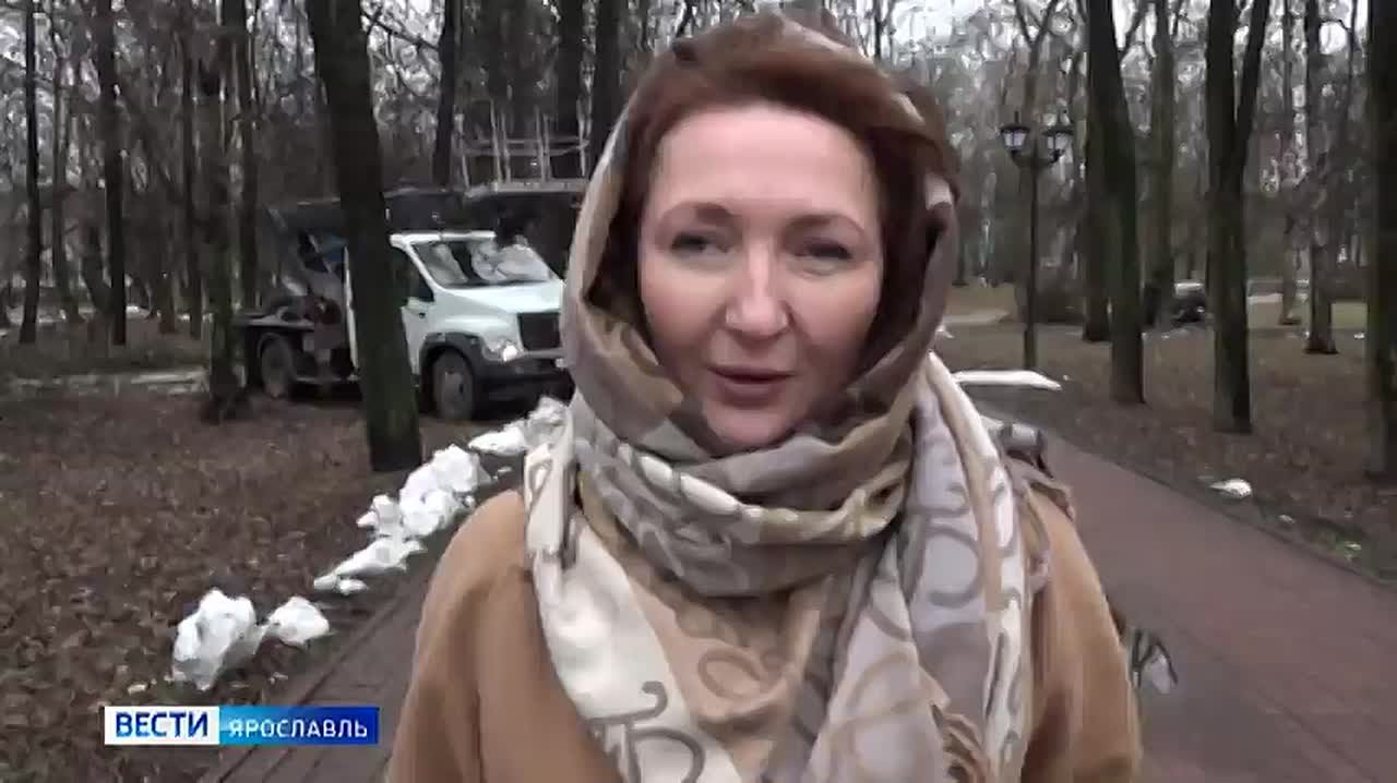 В Ярославле исчезают деревья