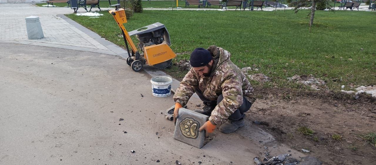 В Ростове Великом создают «Медвежью тропу»