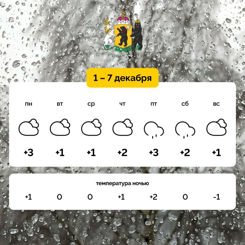 Декабрь встречает нас дождливой погодой