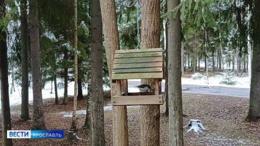 На календаре – 4 декабря. А вы знали, что сегодня отмечается международный День заказов подарков и написания писем Деду Морозу?