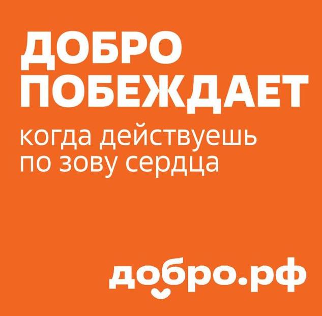 В Ярославле работает активное волонтёрское сообщество