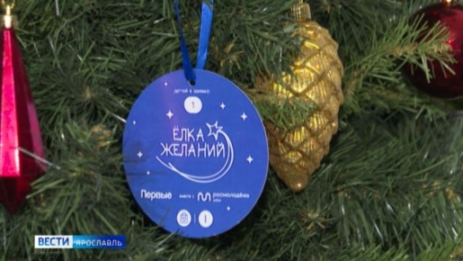 Губернатор Ярославской области принял участие в акции «Елка желаний»