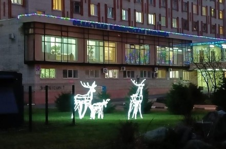 К Ярославской областной больнице «пришли» оленята