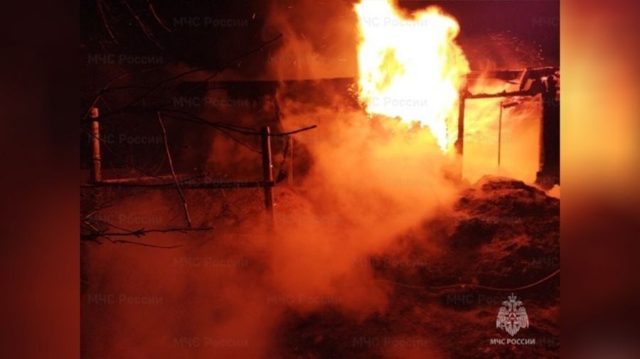 При пожаре в деревне под Рыбинском погибли домашние птицы и крупный рогатый скот
