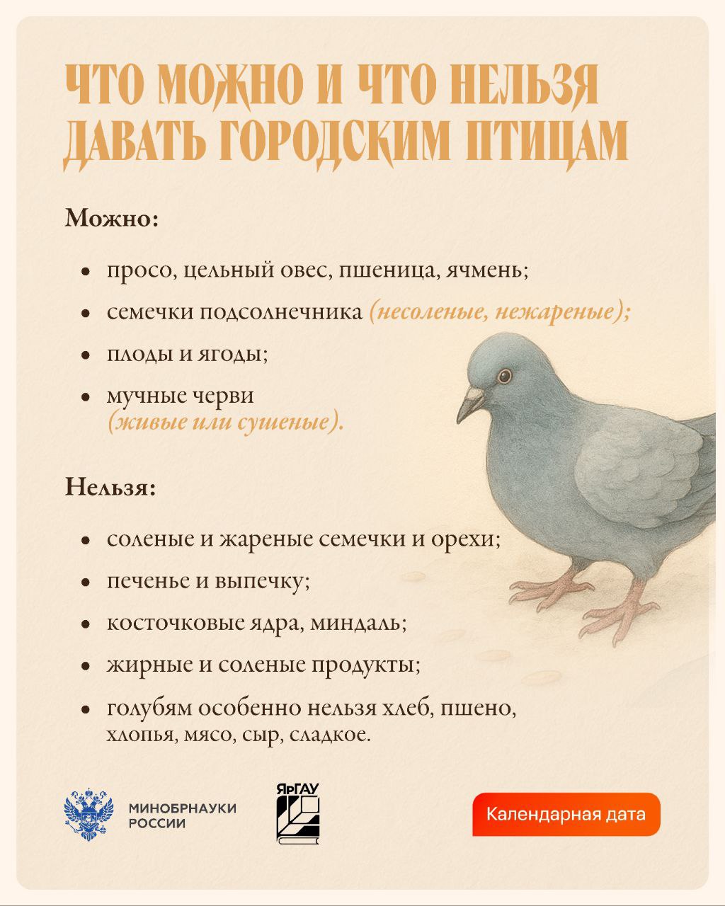 Зимой маленьким обитателям парков и дворов особенно нужна наша поддержка: морозы и нехватка естественного корма усложняют им выживание Зимой маленьким обитателям парков и дворов особенно нужна наша поддержка: морозы и нехватка естественного корма усложняют им выживание