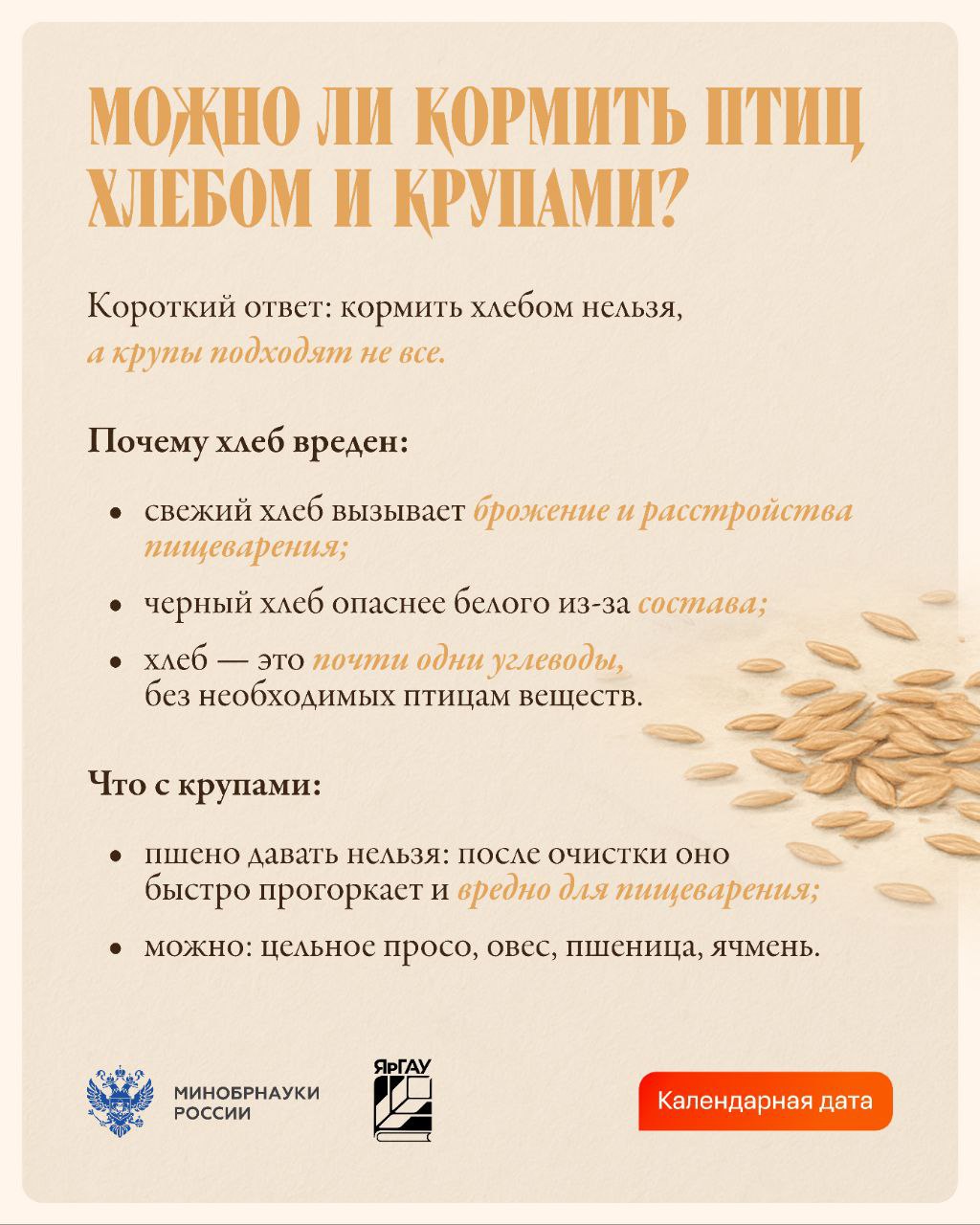 Зимой маленьким обитателям парков и дворов особенно нужна наша поддержка: морозы и нехватка естественного корма усложняют им выживание Зимой маленьким обитателям парков и дворов особенно нужна наша поддержка: морозы и нехватка естественного корма усложняют им выживание