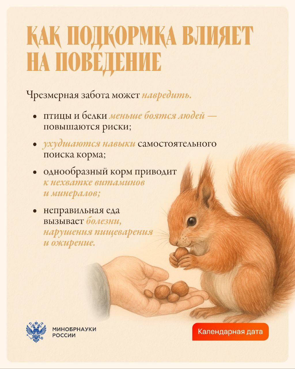 Зимой маленьким обитателям парков и дворов особенно нужна наша поддержка: морозы и нехватка естественного корма усложняют им выживание Зимой маленьким обитателям парков и дворов особенно нужна наша поддержка: морозы и нехватка естественного корма усложняют им выживание