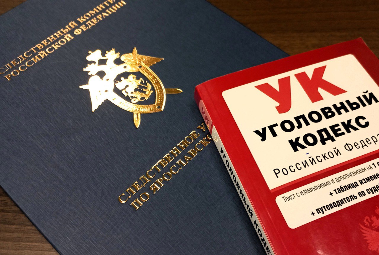 В городе Ярославле местная жительница предстанет перед судом по обвинению в совершении особо тяжкого преступления